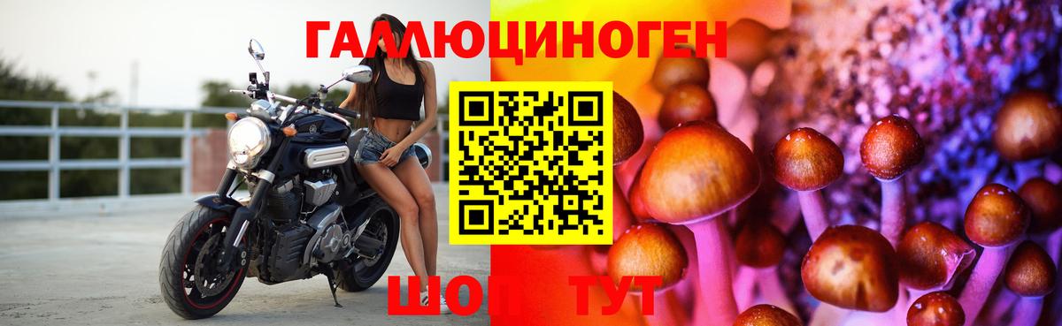 Псилоцибиновые грибы GOLDEN TEACHER  Вход с VPN  Улан-Удэ  Псилоцибиновые грибы Magic Shrooms 