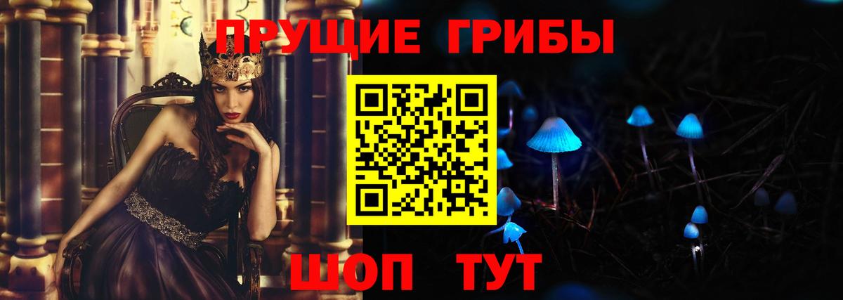 Псилоцибиновые грибы Psilocybine cubensis Улан-Удэ